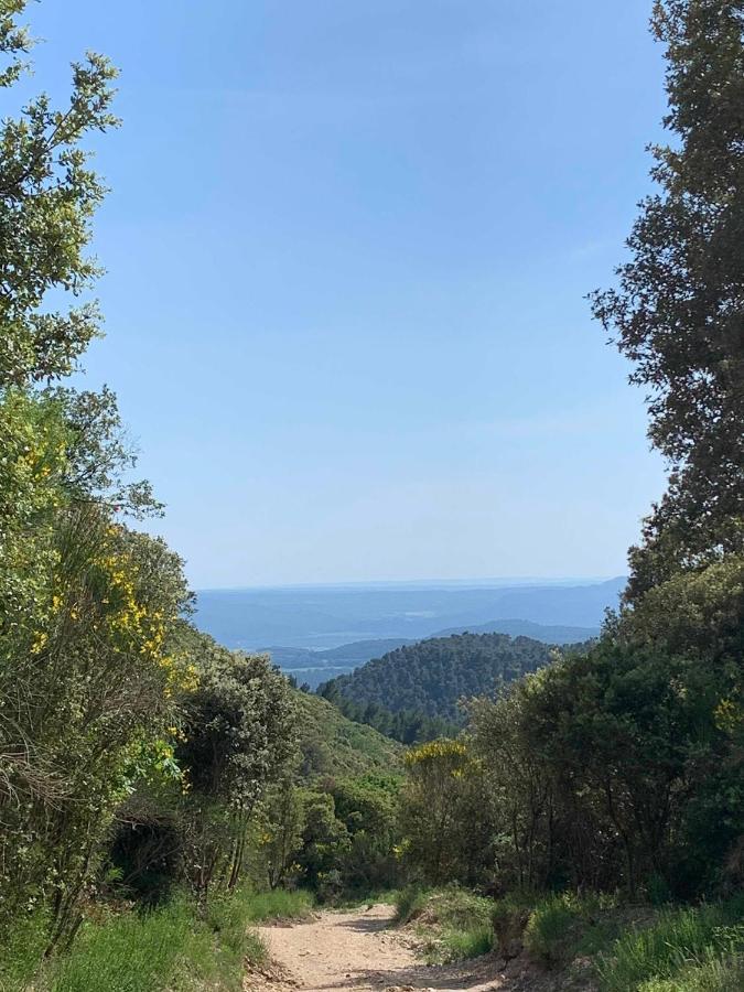 Villa Le Cabanon De Livia Avec Piscine Privee Cucuron Esterno foto